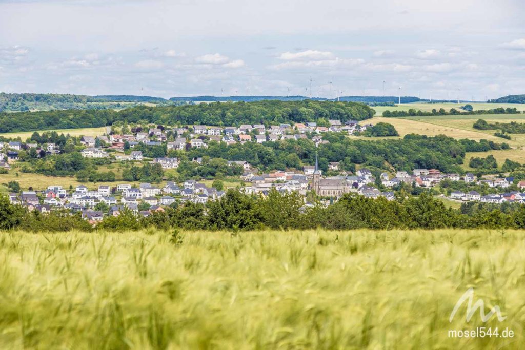 Trierweiler-Panorama